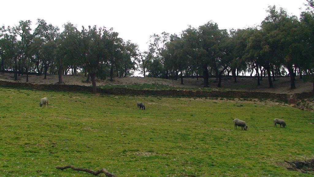 Hotel Rural La Media Legua Aracena